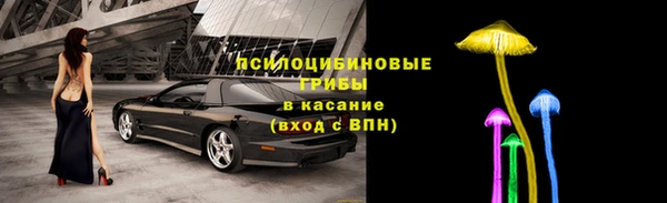 PSILOCYBIN Алексеевка