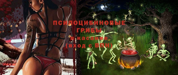 PSILOCYBIN Алексеевка