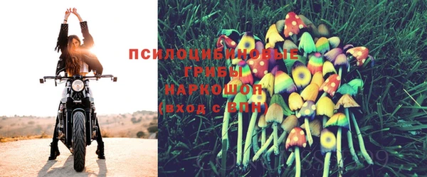 соль курить ск Алзамай