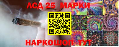 гидропоника Аргун