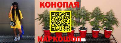 гидропоника Аргун