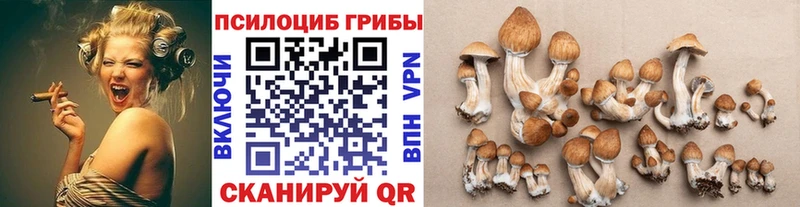 Псилоцибиновые грибы мицелий  где купить наркотик  Лесной 