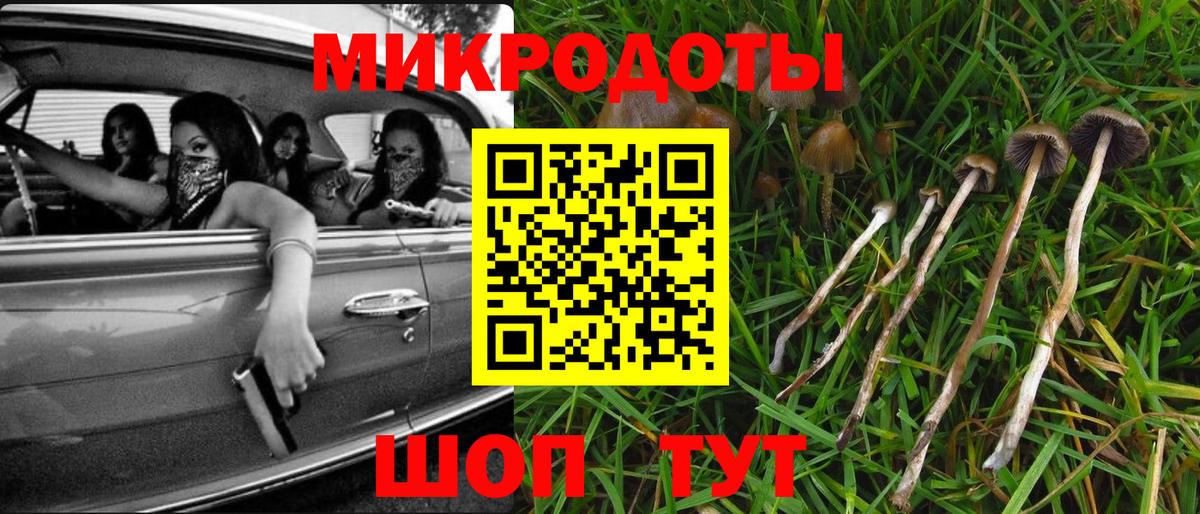 Псилоцибиновые грибы Cubensis Лесной