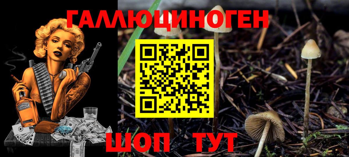 Псилоцибиновые грибы Cubensis  Вход с VPN  Лесной 