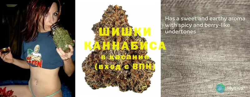 Каннабис SATIVA & INDICA  Лесной 